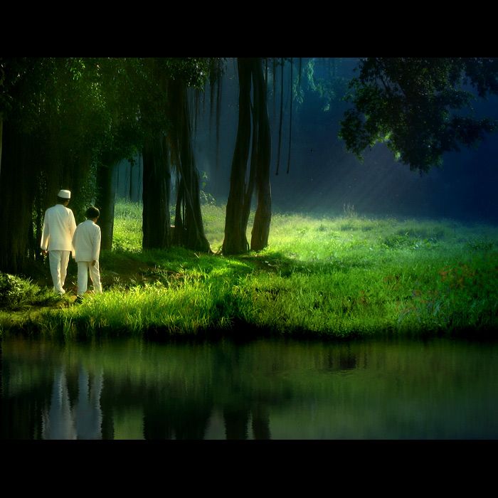 ���������