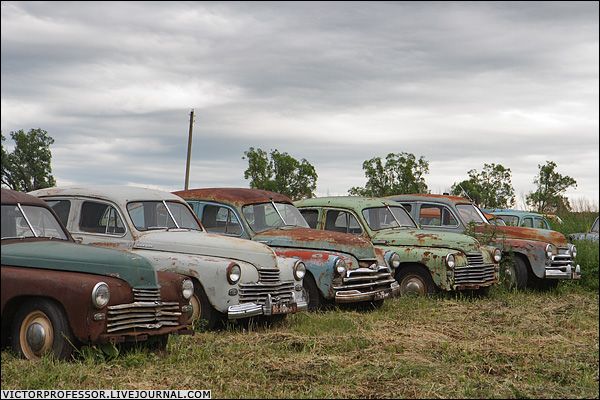 �������� �����������