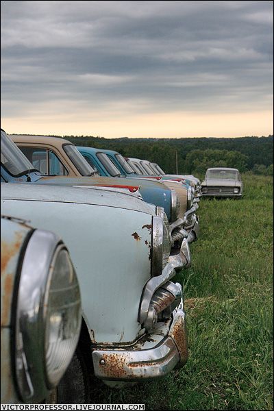 �������� �����������