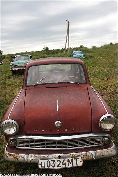 �������� �����������