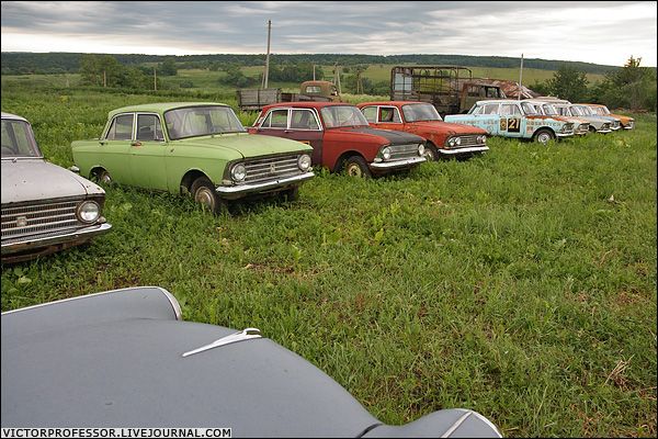 �������� �����������