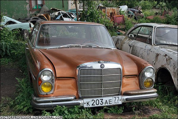 �������� �����������