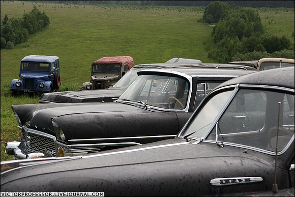 �������� �����������