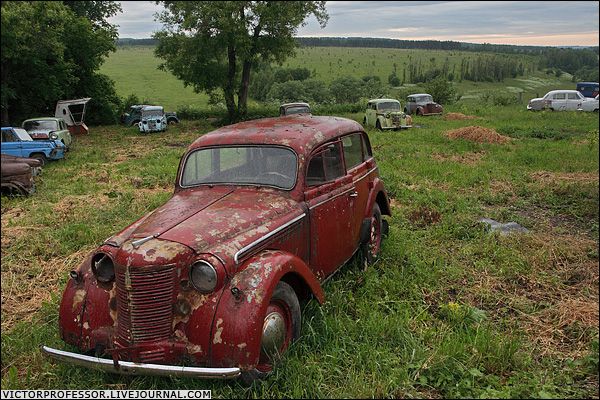 �������� �����������