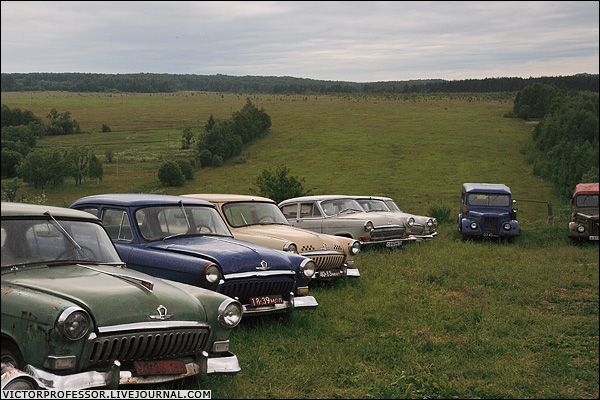 �������� �����������