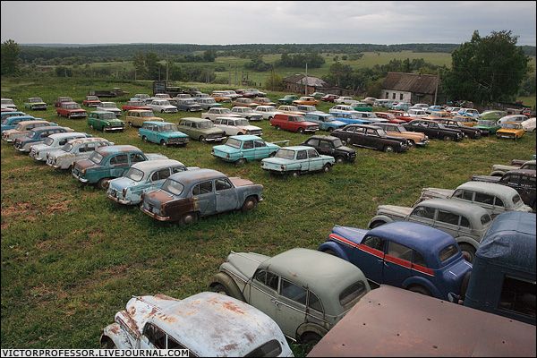 �������� �����������