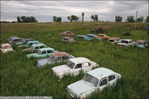 �������� �����������