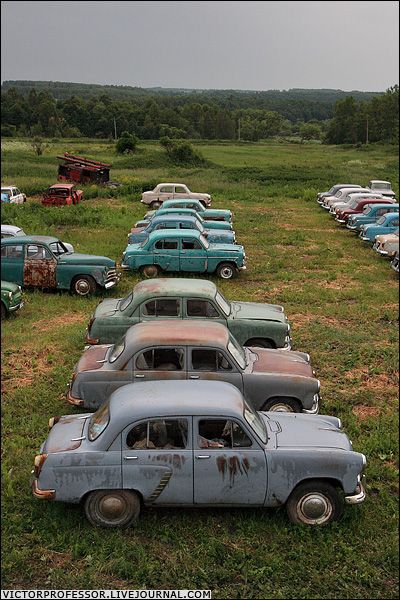 �������� �����������