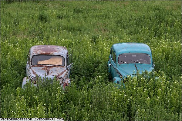 �������� �����������