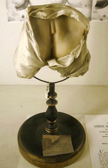 Кунсткамера