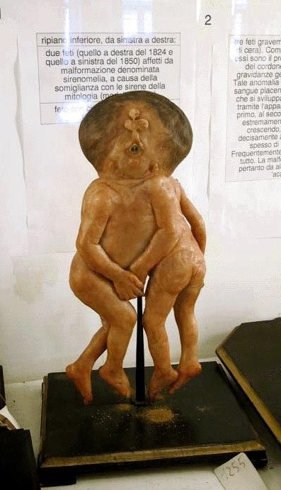 Кунсткамера