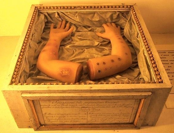 Кунсткамера