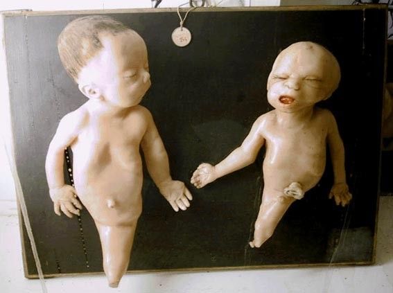 Кунсткамера