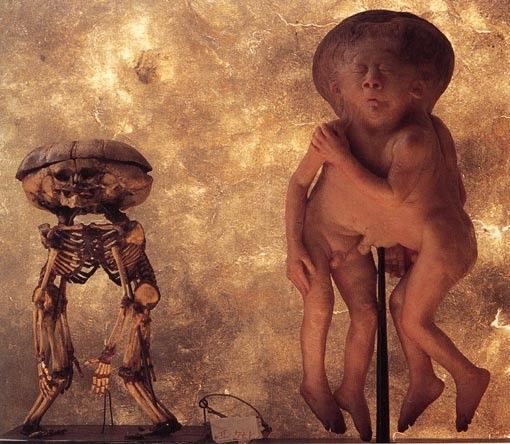 Кунсткамера