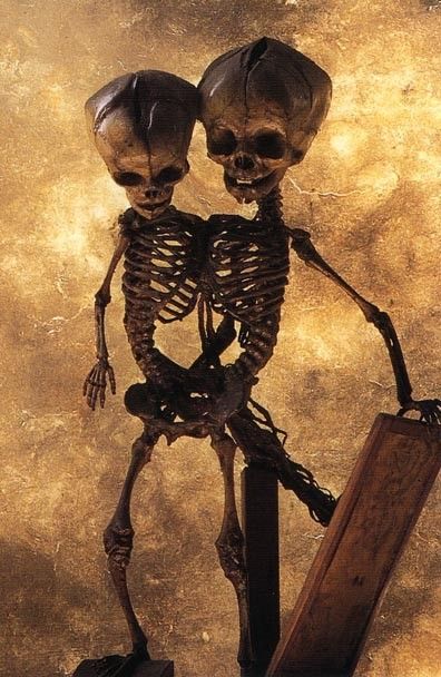 Кунсткамера