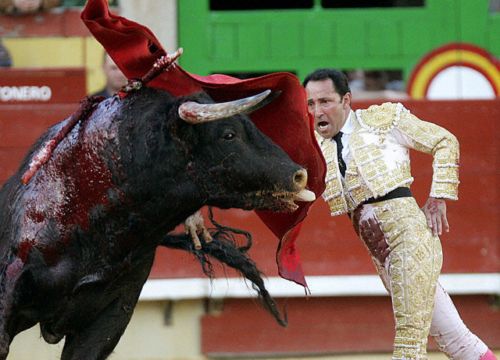 �������