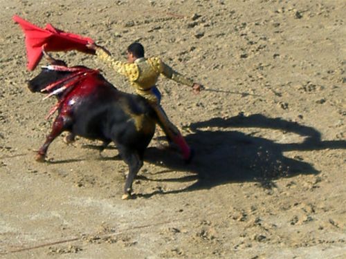 �������