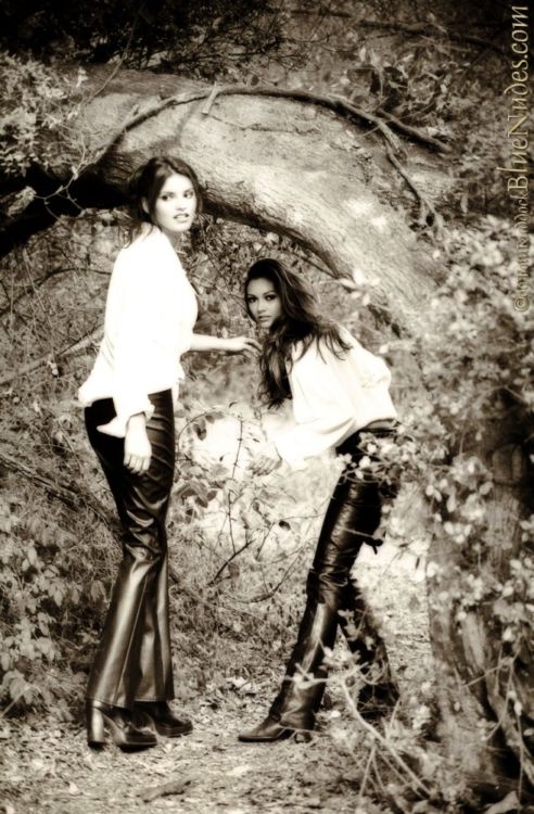 �������� �����