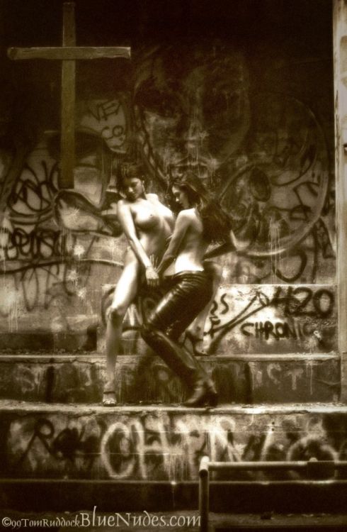 �������� �����