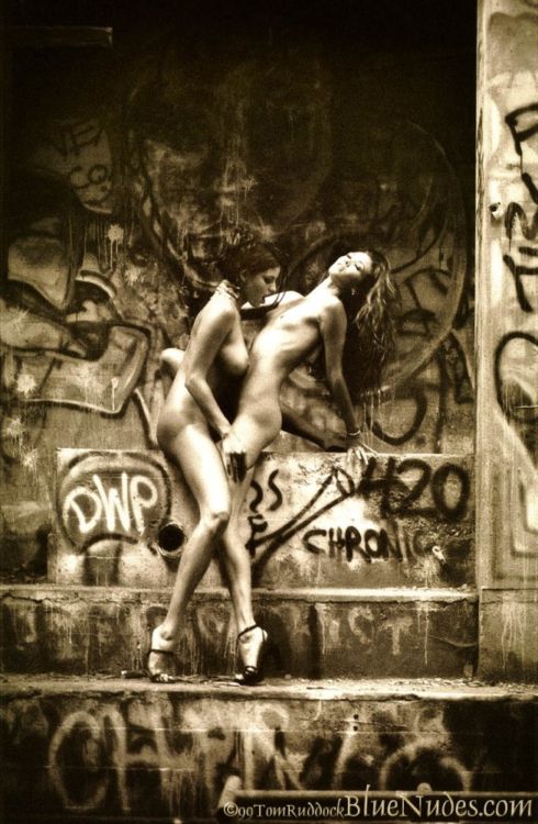 �������� �����