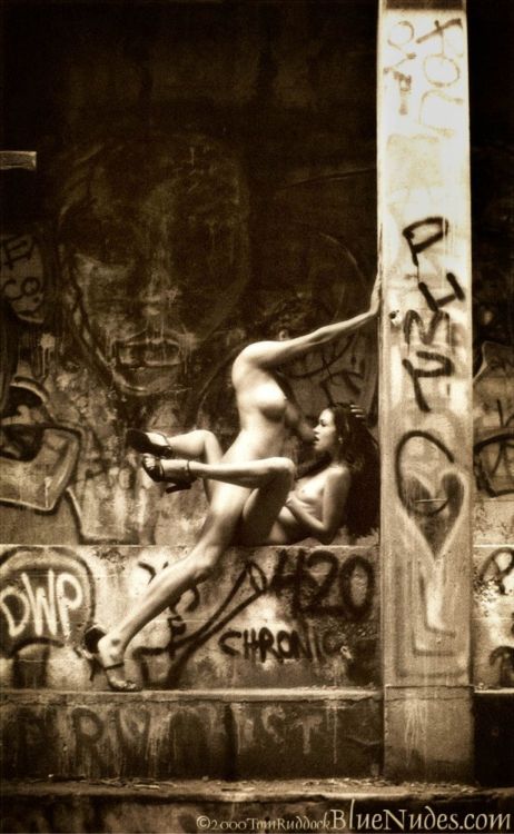 �������� �����