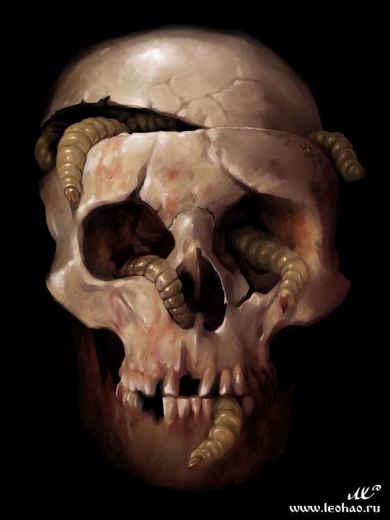 Миры Лео Хао