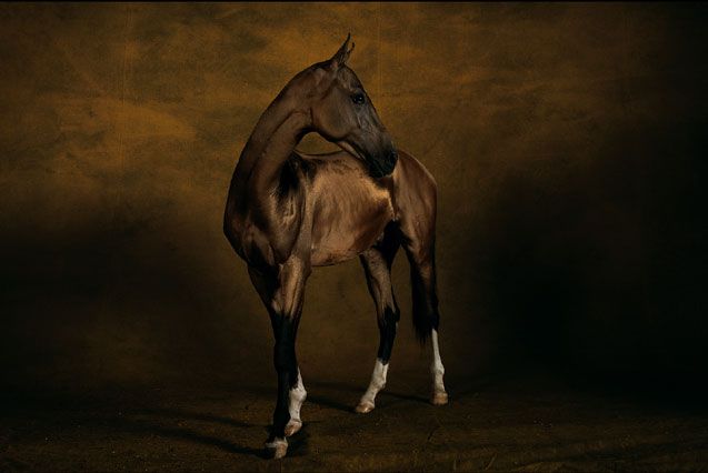 ��� ������� ��� ))