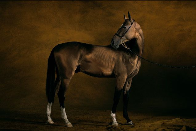 ��� ������� ��� ))