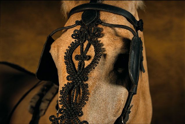 ��� ������� ��� ))