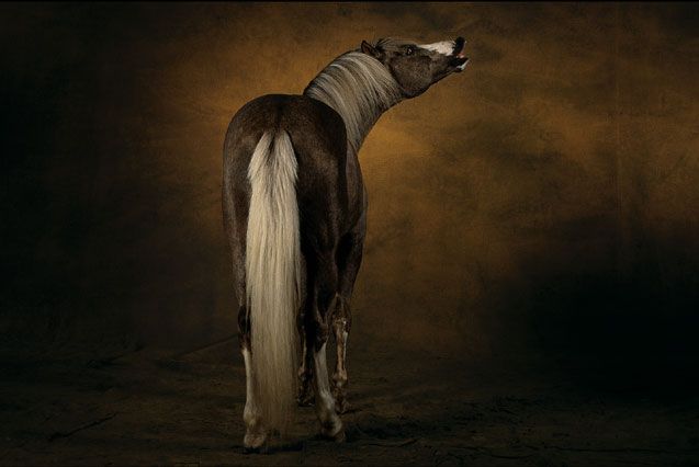 ��� ������� ��� ))