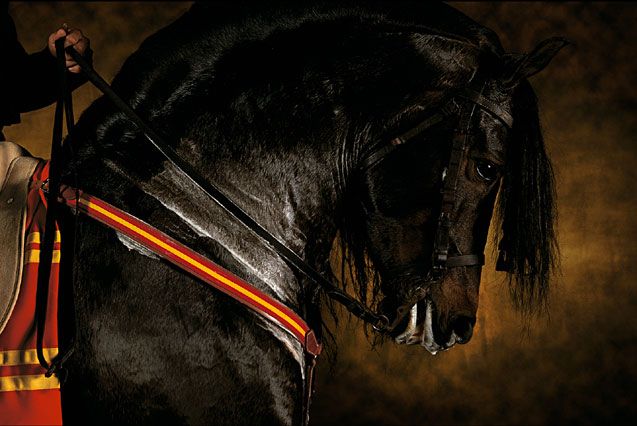 ��� ������� ��� ))