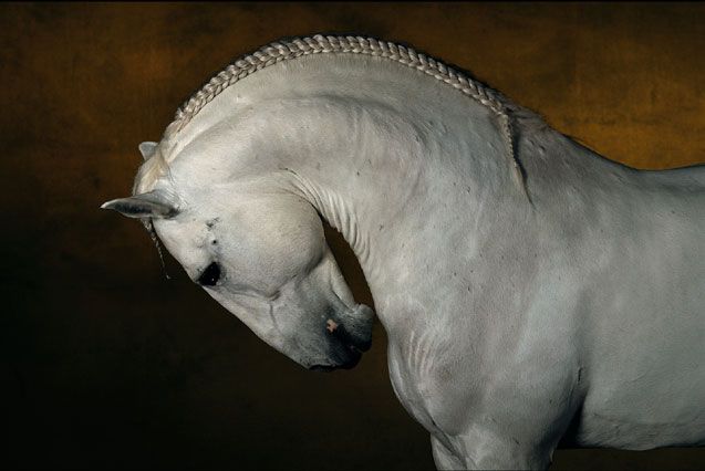 ��� ������� ��� ))