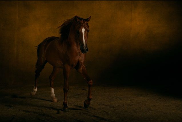 ��� ������� ��� ))