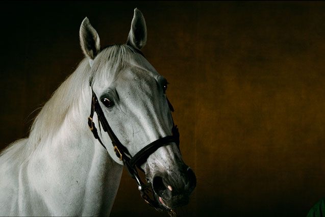 ��� ������� ��� ))