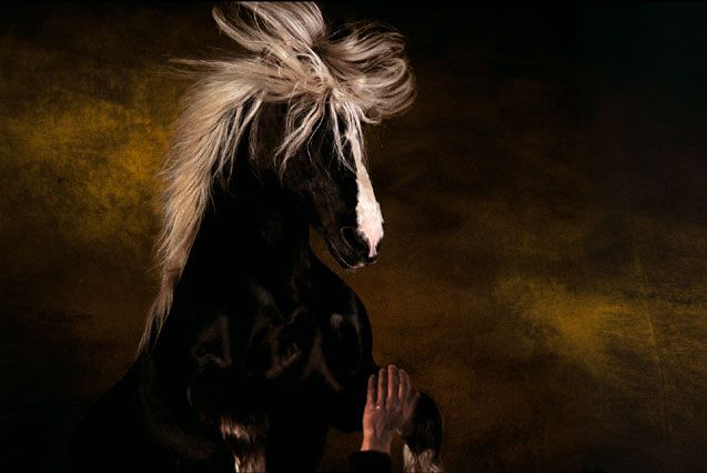 ��� ������� ��� ))