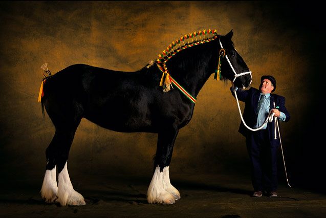 ��� ������� ��� ))