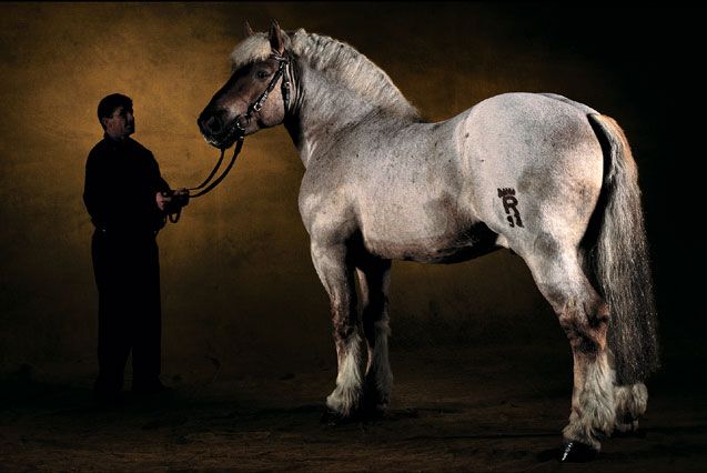 ��� ������� ��� ))