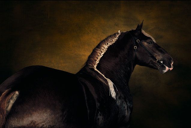 ��� ������� ��� ))