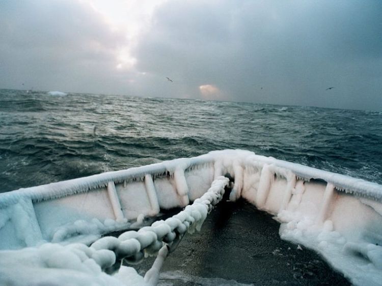 ����� ������ � ���������� ����