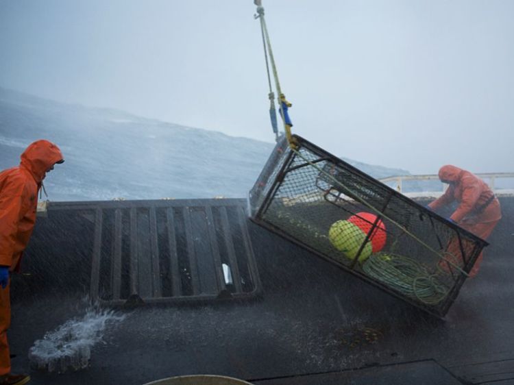 ����� ������ � ���������� ����