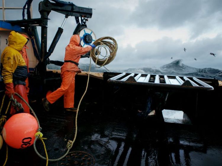 ����� ������ � ���������� ����