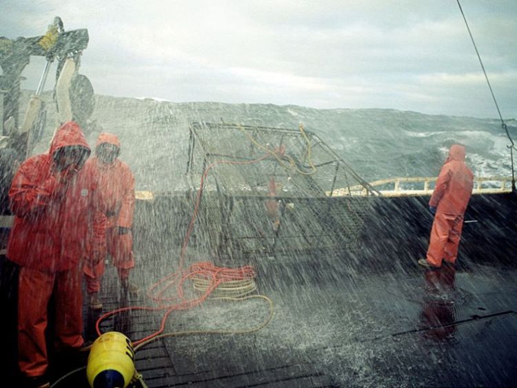 ����� ������ � ���������� ����