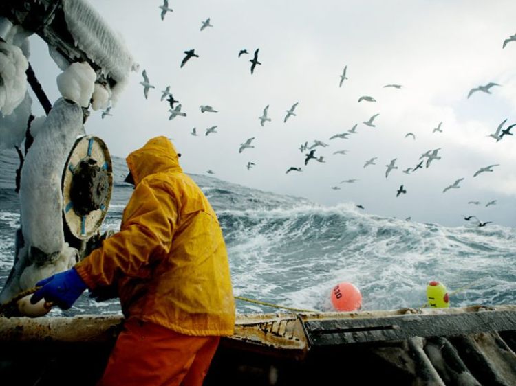 ����� ������ � ���������� ����