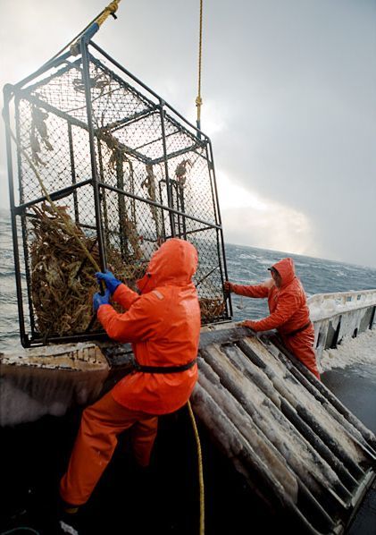 ����� ������ � ���������� ����