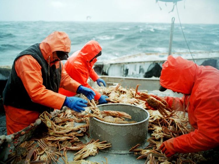 ����� ������ � ���������� ����