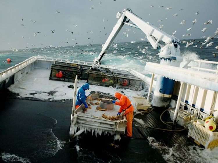 ����� ������ � ���������� ����