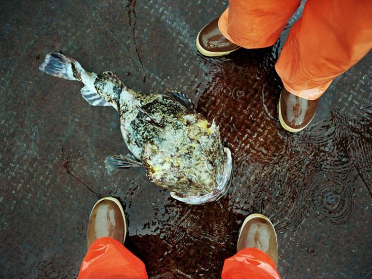 ����� ������ � ���������� ����