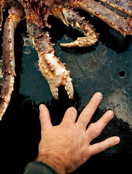 ����� ������ � ���������� ����