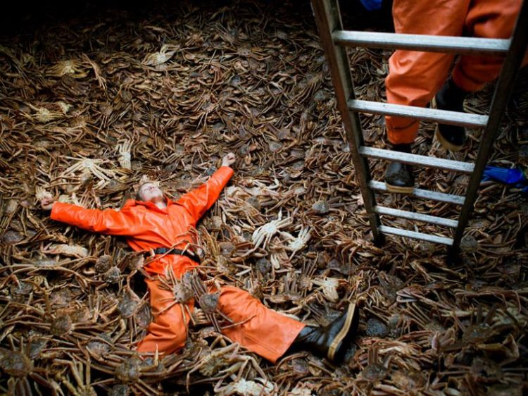 ����� ������ � ���������� ����