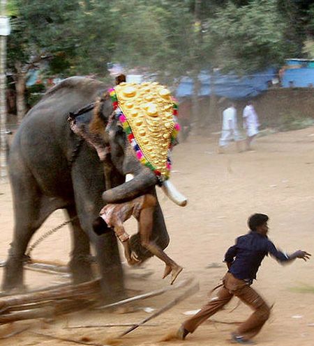 ������ ���� ������� ������� 2007 ���� ��������� Associated Press